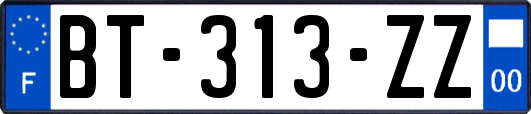 BT-313-ZZ