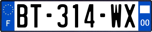 BT-314-WX