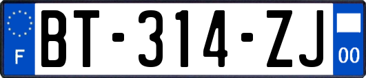 BT-314-ZJ