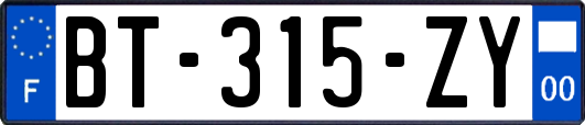 BT-315-ZY