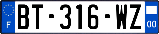 BT-316-WZ