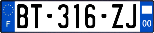 BT-316-ZJ