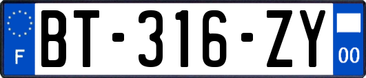 BT-316-ZY