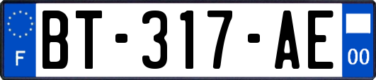 BT-317-AE