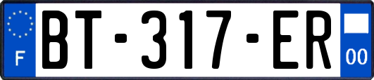 BT-317-ER