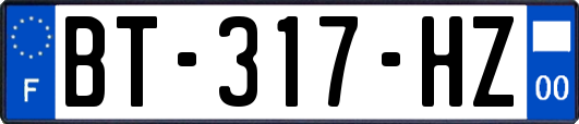 BT-317-HZ