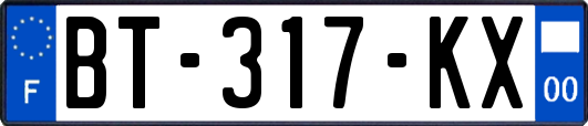 BT-317-KX