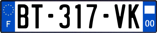 BT-317-VK