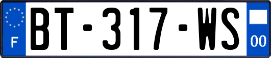 BT-317-WS