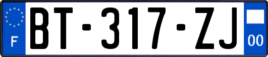 BT-317-ZJ