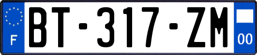 BT-317-ZM