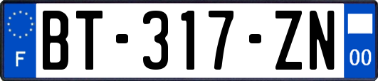 BT-317-ZN