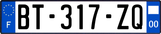 BT-317-ZQ