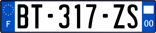 BT-317-ZS