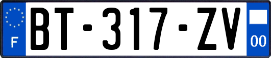 BT-317-ZV