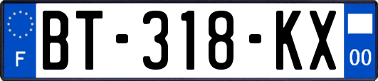 BT-318-KX