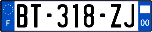 BT-318-ZJ