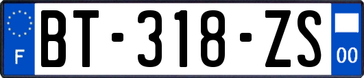 BT-318-ZS