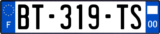 BT-319-TS