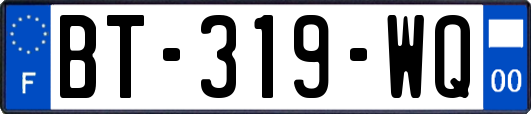 BT-319-WQ