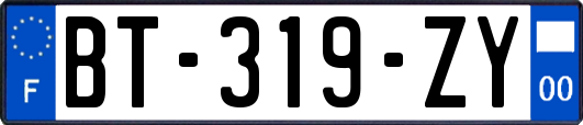 BT-319-ZY