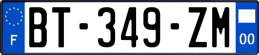 BT-349-ZM