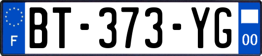 BT-373-YG