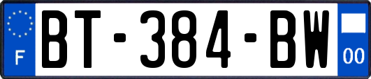 BT-384-BW