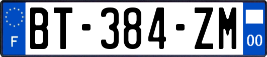 BT-384-ZM