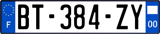 BT-384-ZY