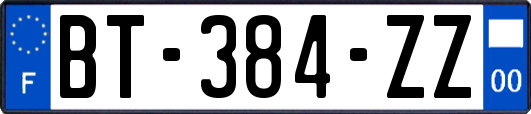 BT-384-ZZ