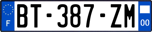 BT-387-ZM