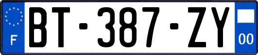 BT-387-ZY