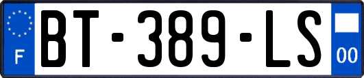 BT-389-LS