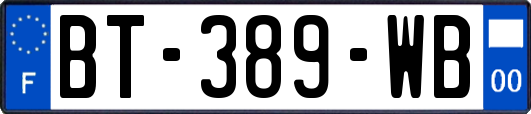 BT-389-WB