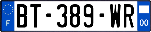 BT-389-WR