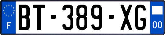 BT-389-XG