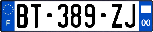 BT-389-ZJ