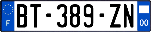 BT-389-ZN