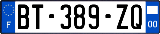 BT-389-ZQ