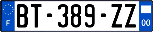 BT-389-ZZ
