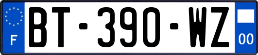 BT-390-WZ