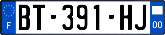 BT-391-HJ