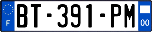 BT-391-PM