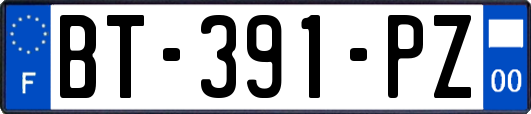 BT-391-PZ