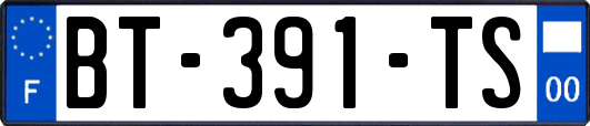 BT-391-TS