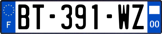 BT-391-WZ