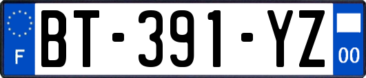 BT-391-YZ