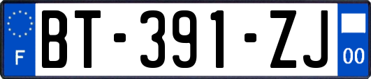 BT-391-ZJ