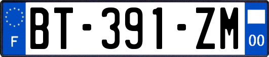 BT-391-ZM